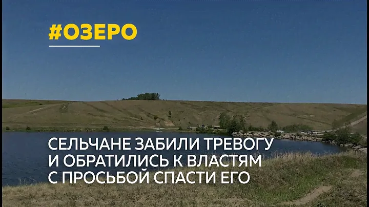 Сегодня в селе Шахи Павловского района сделали первый шаг к очищению водоёма – запустили мальков
