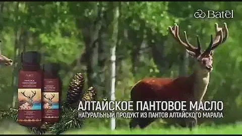 Алтайские пантовое масло от Батэль