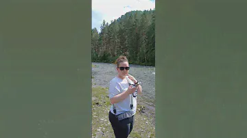 Алтайский край Чемал красота