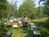 Мед алтайский Алтайский мёд от Пасечников Алтая