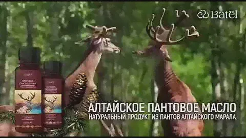 Алтайские пантовое масло от Батэль