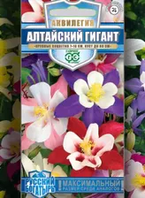 Аквилегия Алтайский гигант (0,05 г)