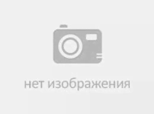 Томат АЛТАЙСКИЙ ВЕЛИКАН (ССС)