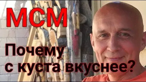 Чудо МСМ. Органическая сера
