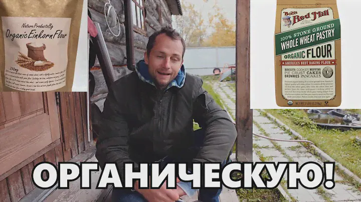 КАКОЙ МУКОЙ ЗАМЕНИТЬ ПШЕНИЧНУЮ МУКУ ВЫСШЕГО СОРТА