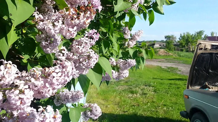 Тюменцево