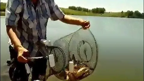 шахи